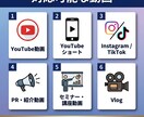 YouTube・SNS向け動画を編集します テロップ・BGM・エフェクトお任せください イメージ2