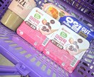 韓国のことについて相談乗ります 韓国について聞きたいことなんでもご相談ください イメージ9