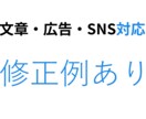 あなたの商品、なぜ反応が出ないか全指摘します 危険箇所を可視化し修正案まで提示 イメージ5