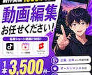 ショート動画編集｜TikTok・リールを編集します SNS向けショート動画編集｜TikTok・リール対応します イメージ1