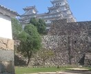 ガイドブックに頼らない国内旅行プラン作成します 42都道府県制覇！1日500円～旅行初心者におすすめします イメージ1