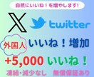 X/Twitterいいね5,000増やします ＋500いいね！分をサービスします！ イメージ1