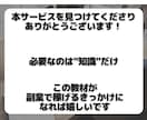 即購入禁止│SNSを使った稼ぎ方教えます 実績0・スキル0の副業初心者が在宅でアフィリエイトで稼ぐ イメージ6