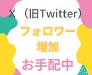 Ｘ（旧Twitter）フォロワー増加にお手配します 日本人含むアジア人フォロワー1000人/5,000円 イメージ1