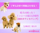 愛犬の困った！ミッシーの総合診療科で解決目指します 新規の相談者向け／【診断書】発行致します イメージ1