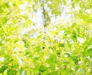 どんな出来事も感情も1分から！お聞きします 身近な人に話しづらい愚痴も秘密厳守です。ご安心ください！ イメージ8