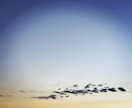 自然を感じられる写真を撮ります 幸せが広がる、笑顔があふれる気持ちになりますように イメージ1