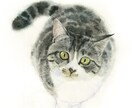 ふんわりやさしい水彩画でペットの似顔絵を描きます ｜インテリアやプレゼントに ｜犬・猫・小動物や鳥さんもOK♪ イメージ6