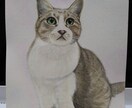 猫ちゃん専門！リアル手描き水彩の肖像画ですます 渾身丁寧に描き込む透明水彩画による唯一の原画をお届けします イメージ5