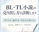 BL・TL小説の売り出し方を診断します 投稿サイトやKindle向けに、タイトル・紹介文等を整えます イメージ1