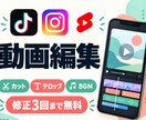 3000円~！即対応！動画編集します 見やすい字幕とテンポのよい編集で、伝わる動画に！ イメージ1