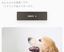 動物病院｜ペットサロン専門LP制作します 信頼され、選ばれ続けるペットサロンへ イメージ4