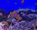理学療法士を目指す方のお悩み聞きます 理学療法士を目指す学生さんのお悩みをお聞きします！ イメージ1