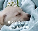 自分を責めてしまう方に、優しくじっくり寄り添います 頑張りすぎて壊れる前に、心を休めてみませんか　自分責め/不安 イメージ5