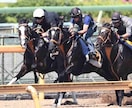 競馬予想！オッズや人気不要！初心者歓迎いたします 週末は穴馬⁂実力馬をあぶりだしてで勝ち組になれる イメージ1