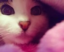 話せばきっと…！ 心が軽くなります 話しているだけのようで…明るい光の出口へ✴︎✴︎✴︎ イメージ1