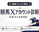 競馬Xアカウントを診断し改善点を具体的に提案します プロフィール・固定ポスト・投稿導線を診断 イメージ1