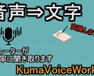 声を扱うプロがあなたの音声動画を丁寧に文字化します ナレーターが聞き取る！音声動画の文字起こしを丁寧に仕上げます イメージ1