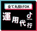 動画2本500円！Tiktok運用代行します ※最低価格の設定が3000円ですが提案時は500円となります イメージ1