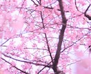 おためし占い♡気軽にタロット占います お安く設定しております( ˆ ˆ )/♡ イメージ3
