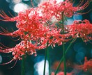 写真のレタッチ加工を行います お客様が望む写真の加工を行います イメージ1