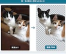 背景透過・切り抜き・一括リサイズ代行します 商品画像の背景透過・サイズ統一を一括。無料サンプル1枚OK イメージ2