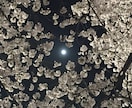 貴方様の悩みを占い師の私が一早く導きます 一人ではどうしようも出来ずに悩んでいる貴方様を幸せな方向に イメージ3