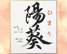 最短1日！飾りやすい小色紙の命名書を制作します 筆文字オーダー命名書｜小色紙・ビニール付 イメージ3