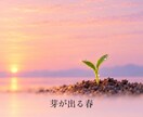 書くことで整う、3時間の安心文字相談をします 話すより書く方が楽な人へ、安心の3時間です イメージ5