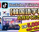 YouTubeの韓国語字幕を付けます YouTube、TikTok対応！韓国語字幕付け イメージ1