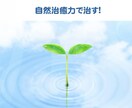 辛い・苦しい・悲しい・全て真剣にお聴きします 不安や恐怖・ 一人で悩まないで一緒に考えます. イメージ2