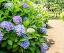 ６月）季節の話題を楽しもう✨巡る四季ご一緒します 【６月】梅雨／父の日／夏至／サッカーワールドカップ イメージ2