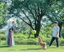 犬・猫・ペットの自然な写真を撮影します ペットと家族が過ごす時間をプロクオリティで残しませんか？ イメージ2