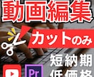 動画のカット編集承ります YouTube動画などのカット編集。ジェットカットも イメージ1