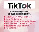 TikTokのフォロワー+1000人増加します TikTokフォロワー拡散！1000人増加します！ イメージ1