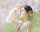 日時限定3月28、29日 桜ロケ撮影 撮ります 先着順・各時間1組限定｜東京春ロケ／家族・ポートレート対応 イメージ1