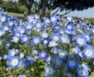 相談でも愚痴でも寄り添い話を聞きます 誰にも言えない気持ちをここで安心してお話ください イメージ1