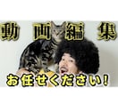 満足度の高い動画編集をします クオリティはもちろん！納品、レスポンス素早く対応いたします！ イメージ1