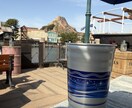 当日ディズニー回り方をコンサルティングします パーク入園後、待ち時間や天候を配慮した最適解をお伝え！ イメージ5