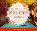 見た人のアクションに繋がるデザインを制作いたします あなたの想いを「そっと」かたちに。 イメージ4
