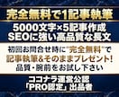 SEOに強い長文！5000文字×5記事制作します 初回お問合せ後に無償で1記事執筆！そのままプレゼント納品 イメージ2