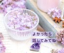 強迫性障害でお悩みの方☘️お話聴かせていただきます 強迫性障害で悩んでいる方、もうあなた一人じゃありませんよ✨ イメージ5