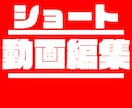 ショート動画の編集代行をさせていただきます 懇切丁寧な対応、編集をさせていただきます イメージ1