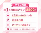 手作業で継続運用！ターゲットに届くいいね代行します 継続的な運用で、狙った層へ丁寧にアプローチします イメージ2