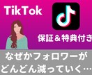 TikTokのフォロワーを千人以上集客します 5月31日まで追加で100人集客します！ イメージ3