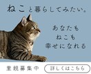 見やすい！綺麗！バナー作ります なんでもお気軽にご依頼ください！ イメージ2