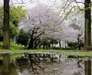 映り手が手掛ける、1日撮影してきます お客様の大切な一瞬の瞬間、大事な時間を形にします！ イメージ3