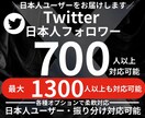 Twitter日本人フォロワー700人増やします 日本人ユーザー中心に自然な認知拡大をサポートします イメージ1