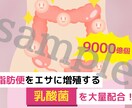 一律1,500円★記事内コンテンツ作成します 現役ライターが記事内コンテンツを作成！ イメージ7