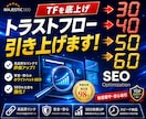 トラストフロー「TF」値を30以上に引き上げます TF60以上も可能！Google上位表示の近道に！ イメージ1